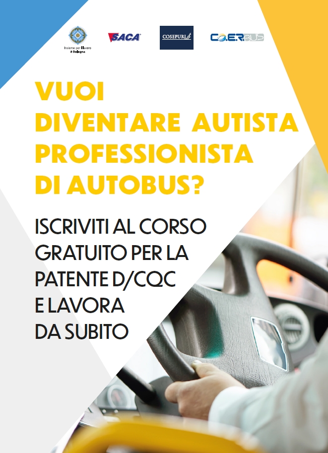 Autista Professionista di Autobus